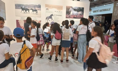 Salon du Cheval d’El Jadida : Patrimoine, Tradition, Art, et Fierté du Maroc