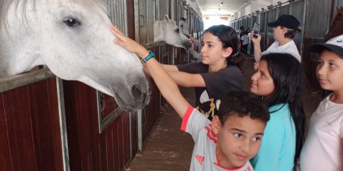 Journée équestre au Haras national d’El Jadida pour les CM1C