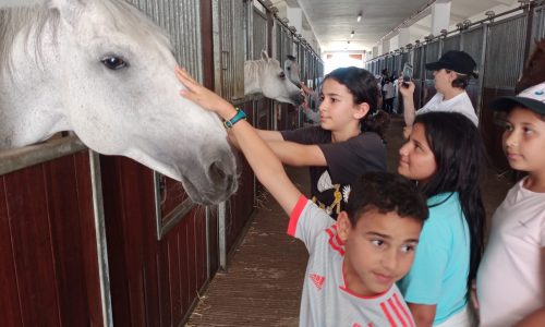 Journée équestre au Haras national d’El Jadida pour les CM1C