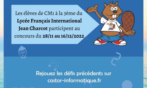 Concours Castor informatique